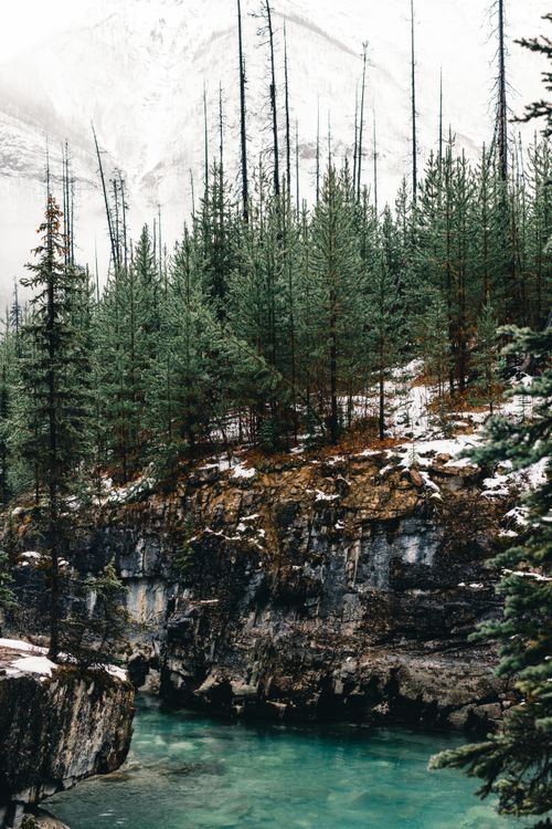 Free Peaceful winter scene with snowy forest and turquoise stream in Kootenay Bay, BC. Stock Photo