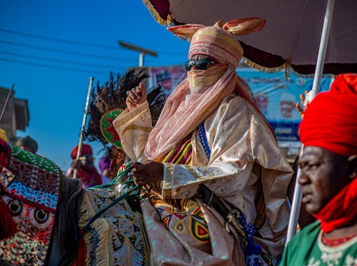 arewa, at, atlar içeren Ücretsiz stok fotoğraf