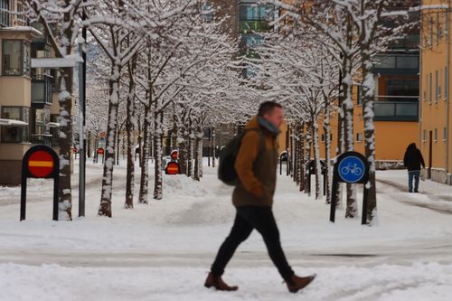 Free A man walks down a snow-covered street lined with bare trees in winter. Stock Photo