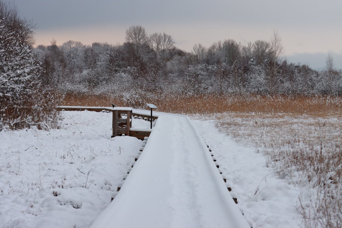 Snow-Covered Pathway during Winter
