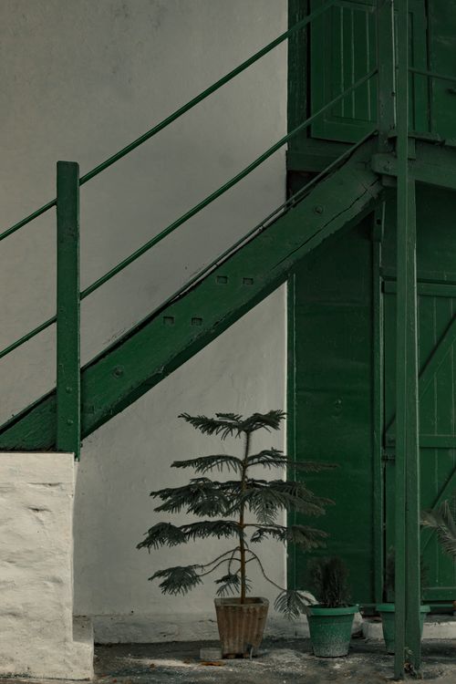 A Green Stairs with Metal Railings · Free Stock Photo