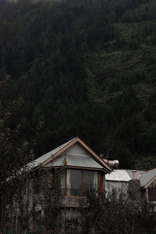 Free A serene rustic house nestled in a dense, green forest under cloudy skies. Stock Photo