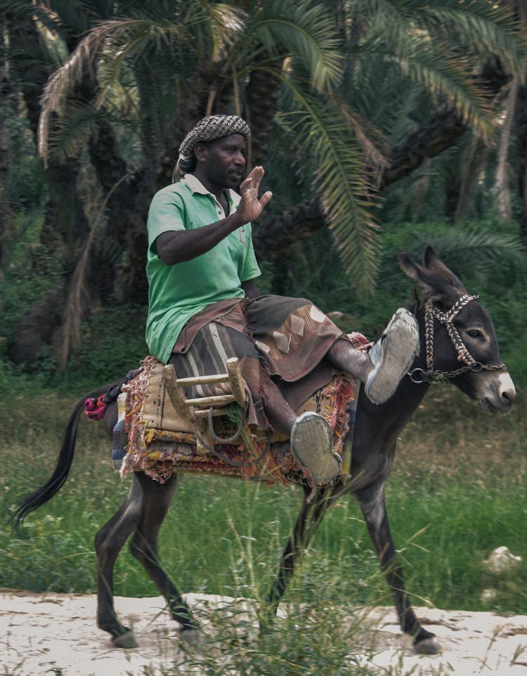 Man Riding A Donkey