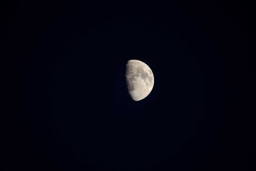 Free The Moon in the Night Sky  Stock Photo