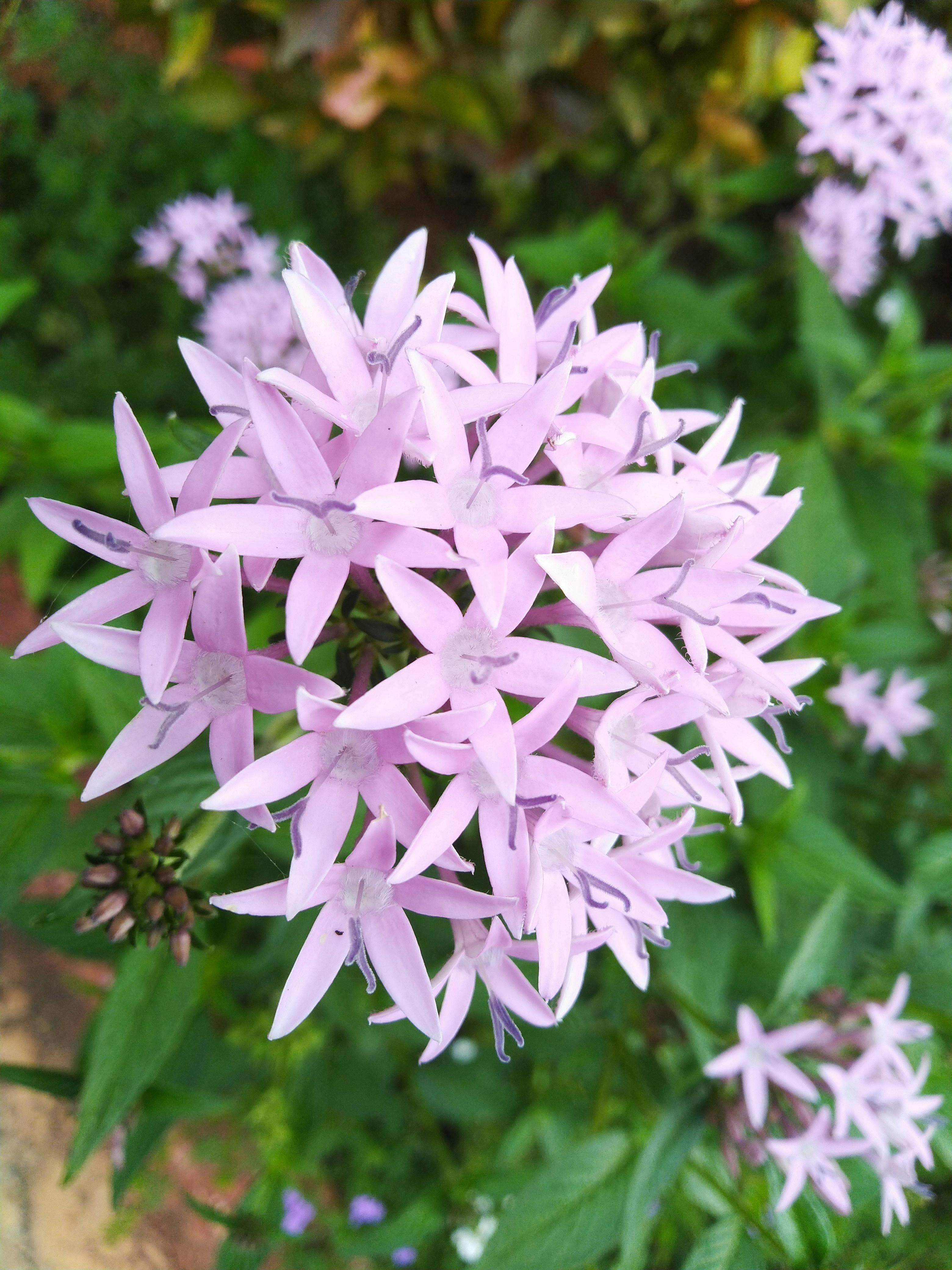 Solar panels on a roof