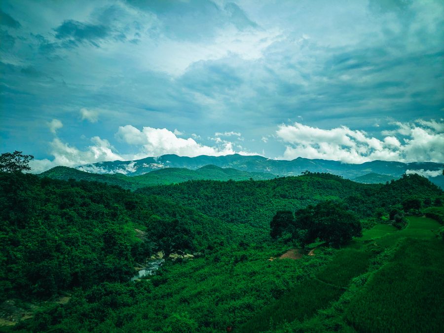 Ziro Valley photo 5