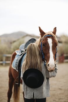 Brown and White Horse in a Field