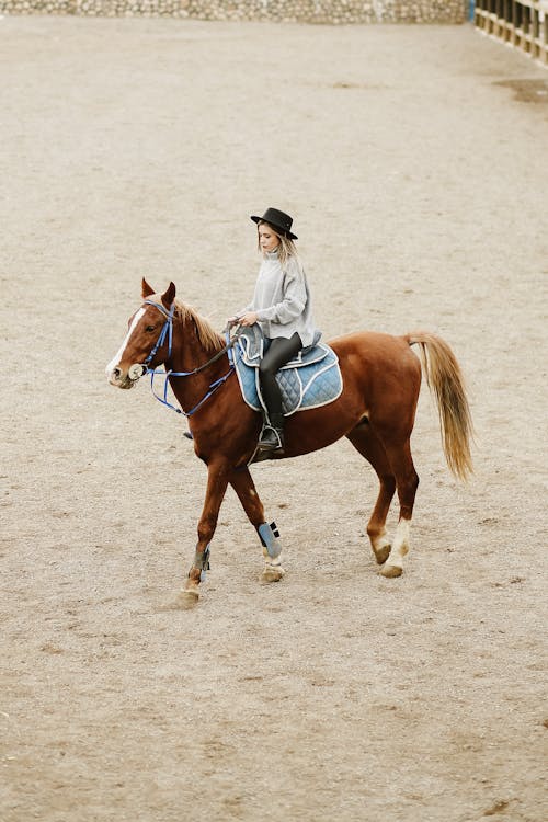 Woman in a Hat Riding a Brown Horse at a Stud 