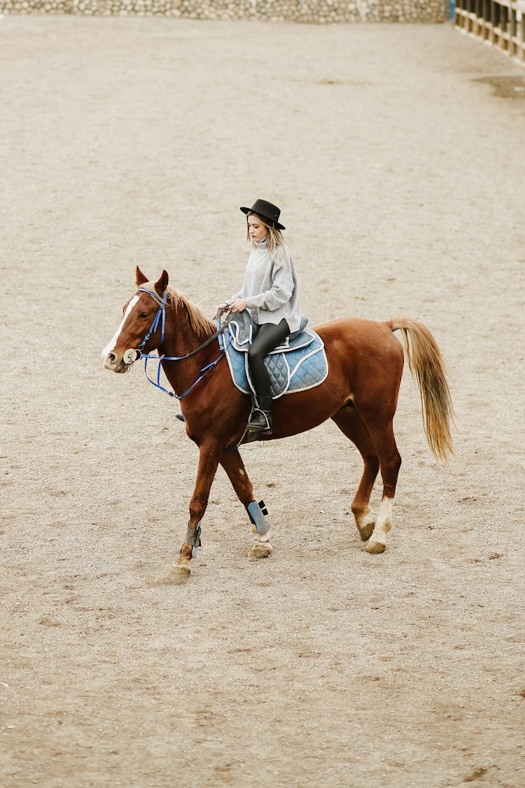 Woman In A Hat Riding A Brown Horse At A Stud 