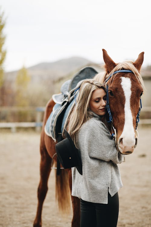 Kostnadsfri bild av betsel, blont hår, brun häst