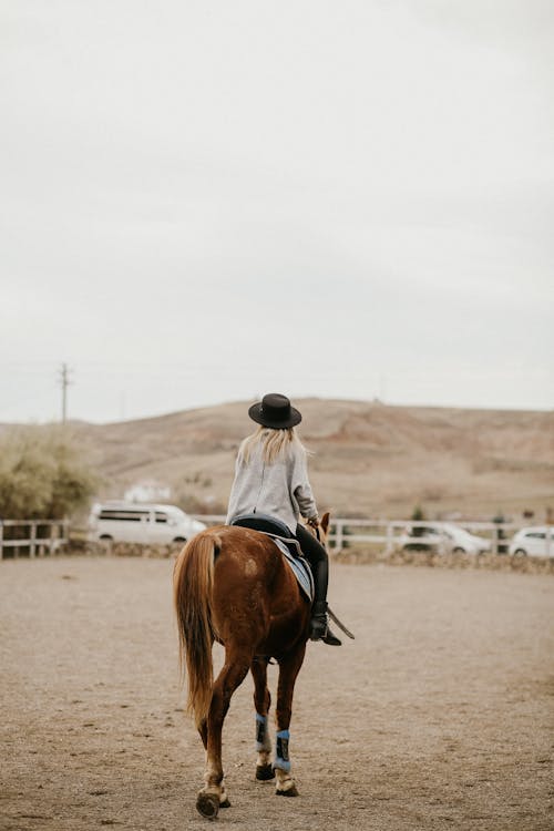 Back View of a Woman on a Brown Horse