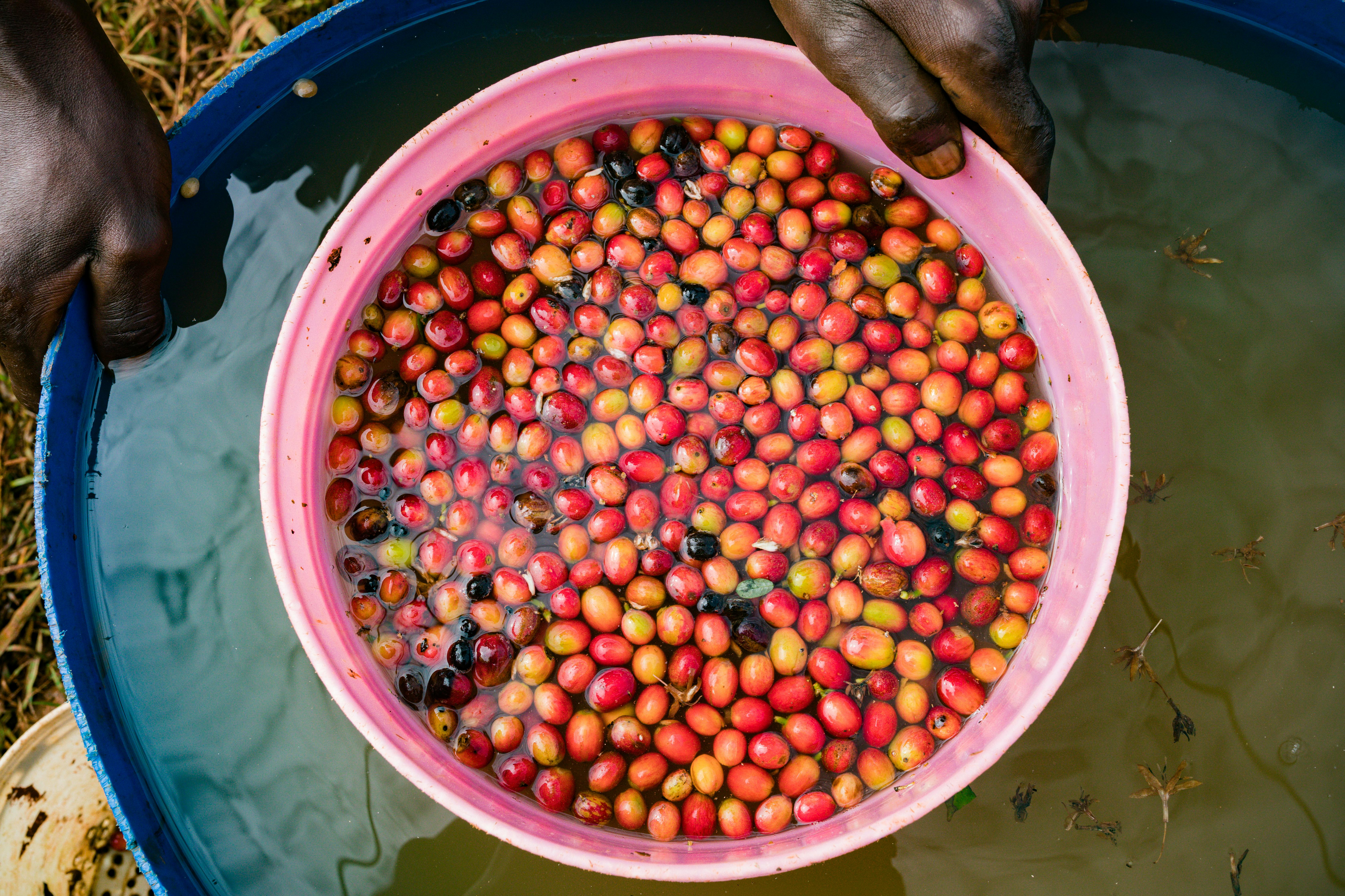 What causes water weight gain?