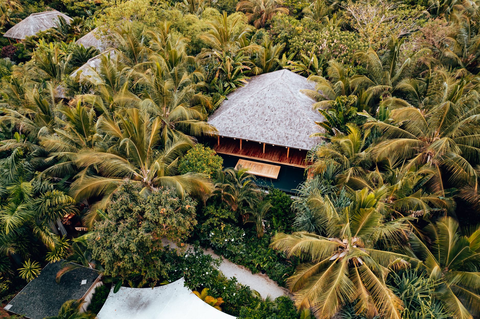 Discover a luxurious tropical villa nestled among vibrant palm trees. Perfect for seclusion and relaxation.