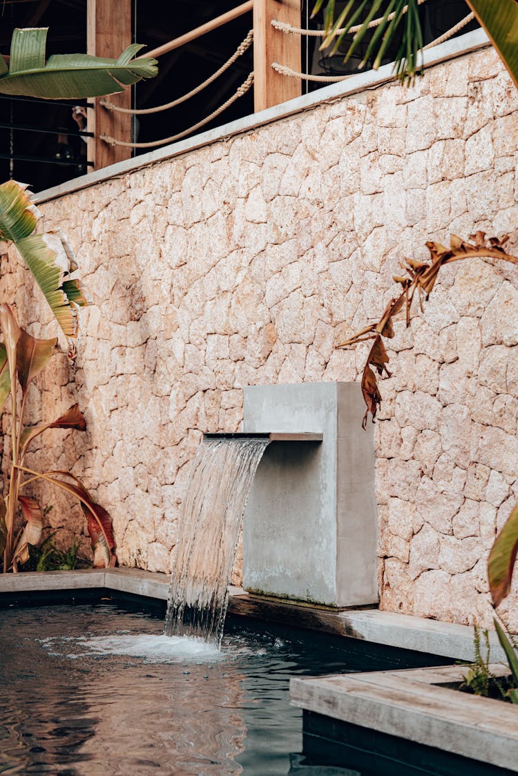 Minimalist Water Fountain In Pond Inside Palm House