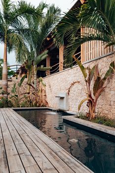 Elegant tropical garden featuring a pond with a wooden boardwalk.