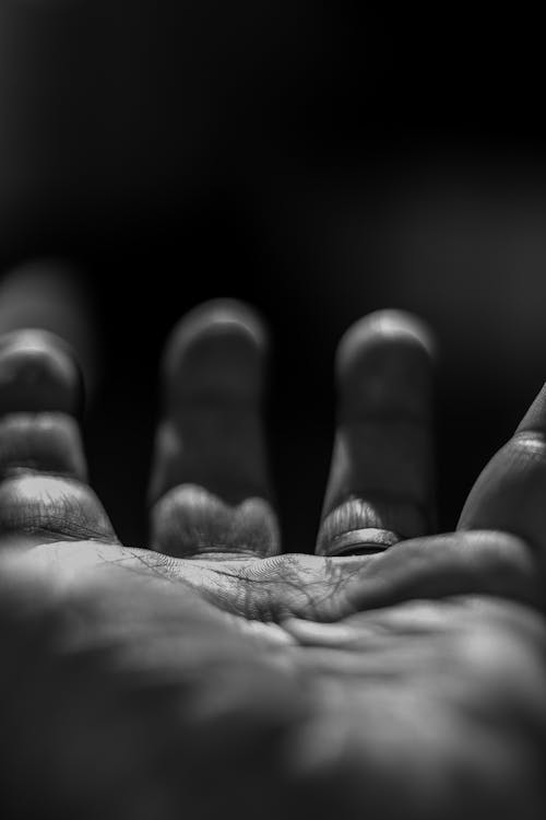 Black and White Photo of a Hand