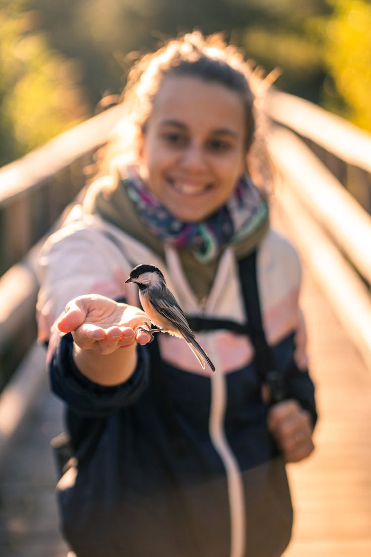 Bird On Woman's Hand