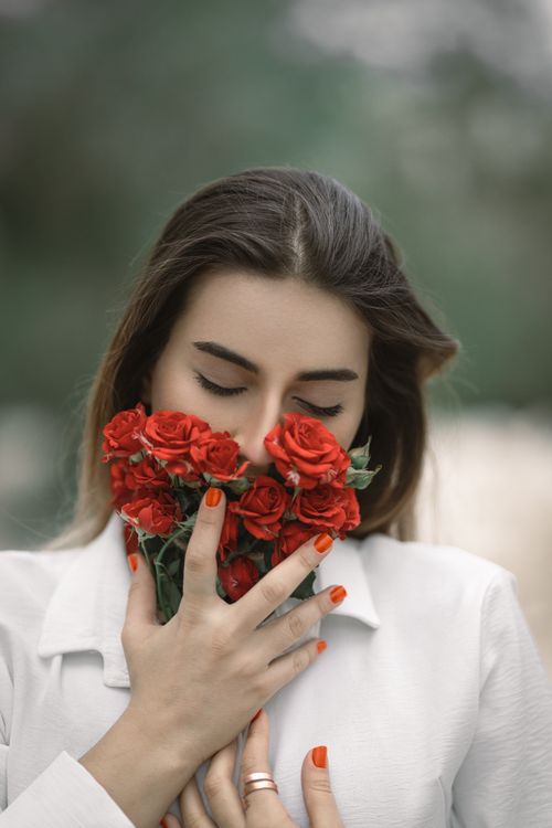 Free A serene portrait of a woman holding a bouquet of red roses against a soft background. Stock Photo