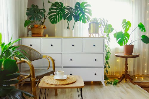 Interior of a Living Room with Potted Plants 