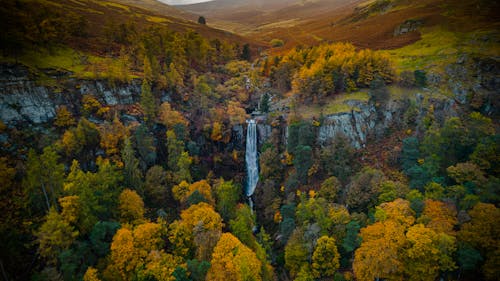 Imagine de stoc gratuită din cascadă, codru, fotografie aeriană