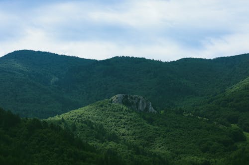 Gratis lagerfoto af bjerg, droneoptagelse, grønne træer
