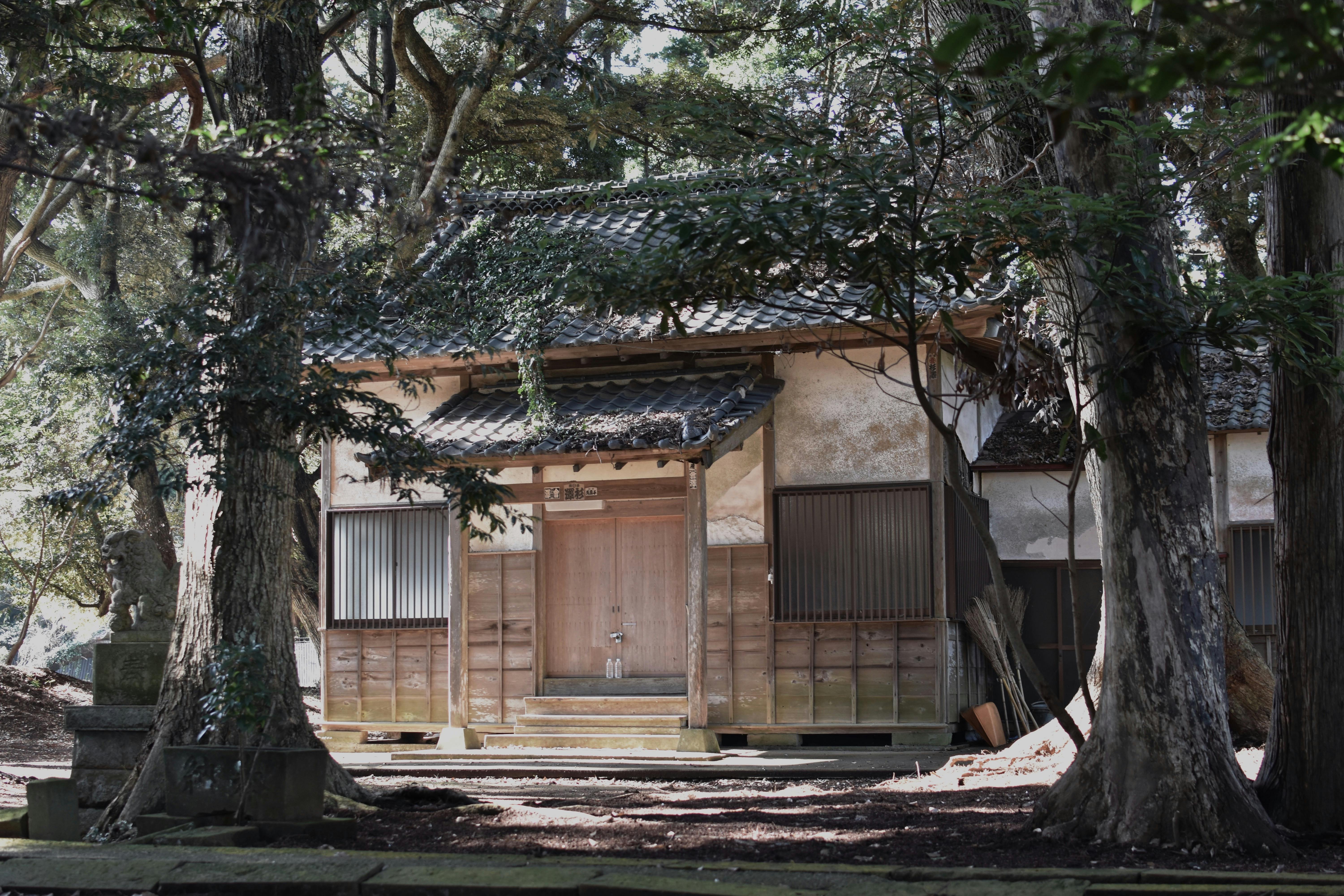 Discovering Hidden Historical Gems: Unearthing the Secrets of the Past