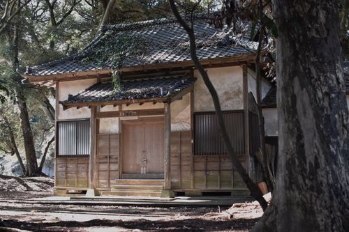 Free Traditional Japanese wooden cabin nestled among lush forest trees. Stock Photo