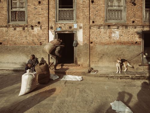 Free A rural scene with a man carrying sacks, a dog, and traditional brick houses. Stock Photo