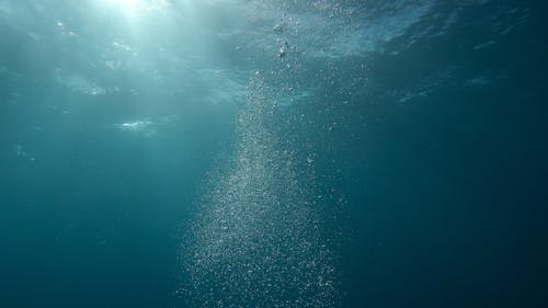 Free Photo of Bubbles Underwater Stock Photo