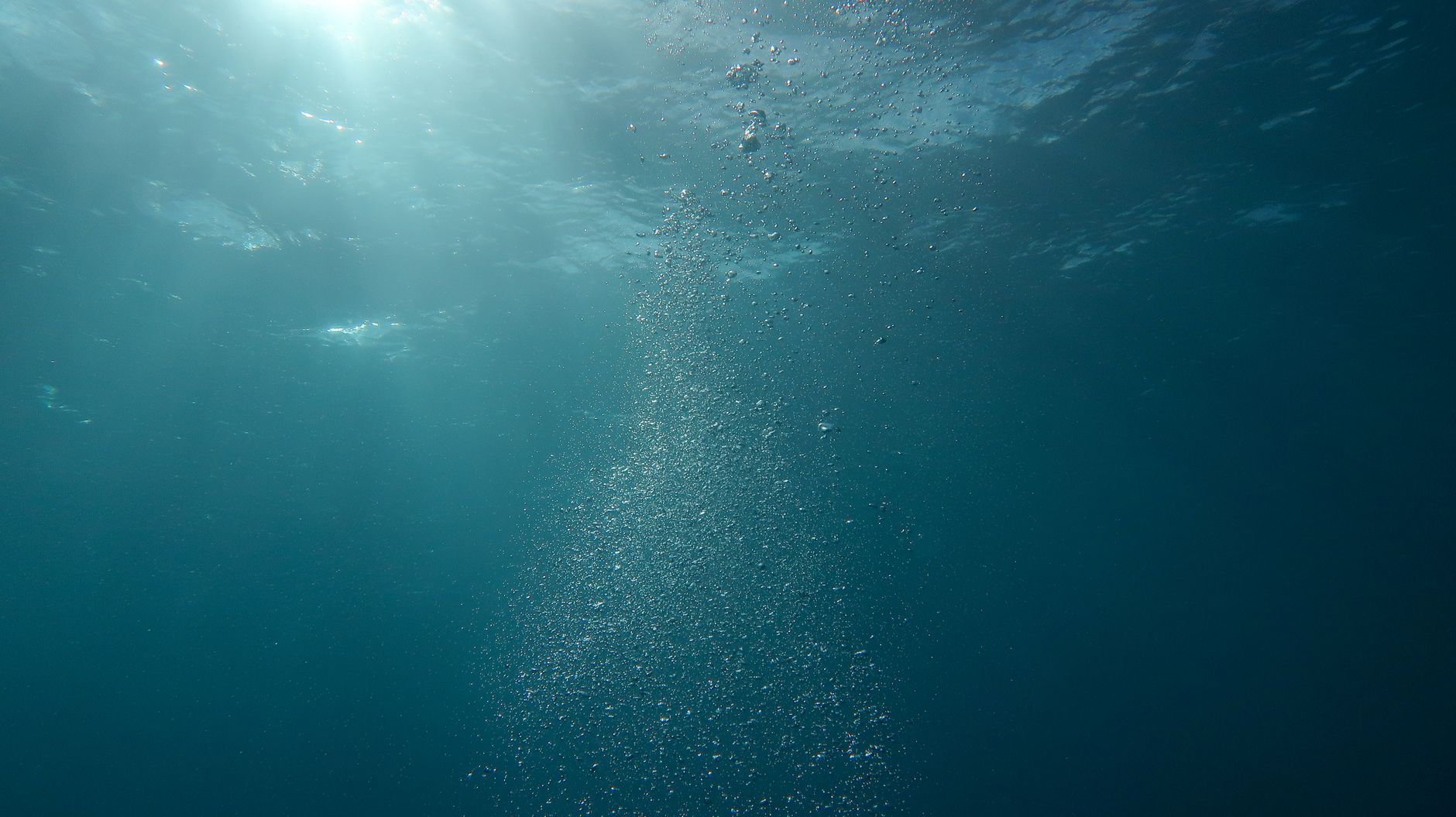 The South Sea Bubble