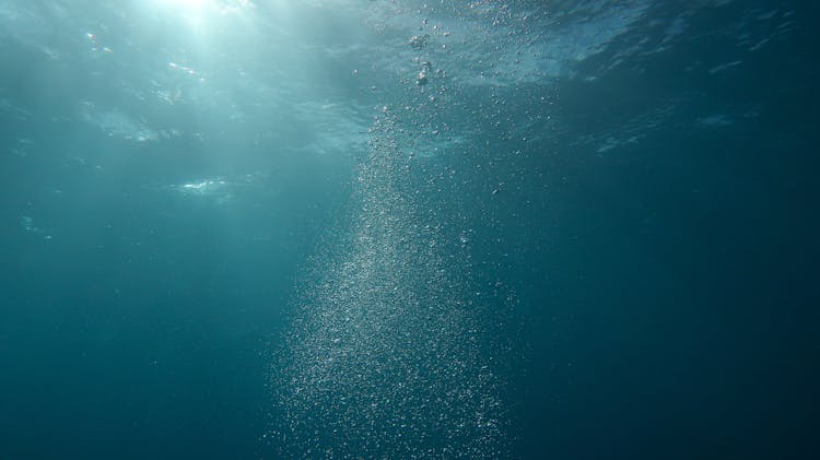 Photo Of Bubbles Underwater