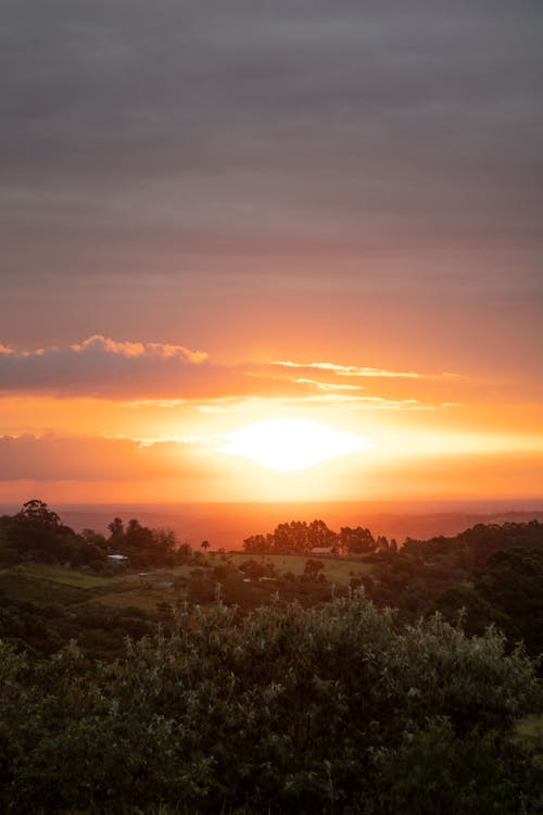 Scenic View of the Sunset 