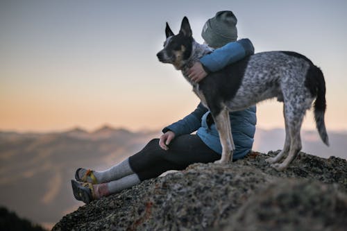 Foto Van Houder Van Zwart Witte Hond