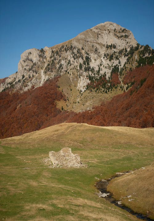 Immagine gratuita di campagna, foresta, montagna