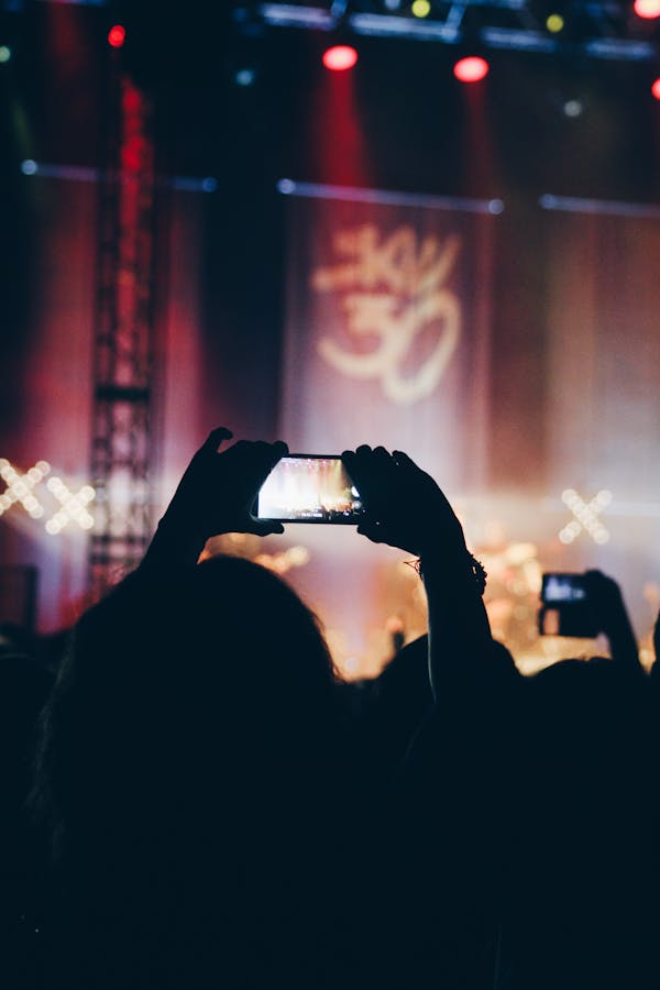 Person Using Phone at Concert