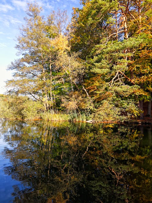 Foto profissional grátis de águas calmas, ao ar livre, árvores verdes