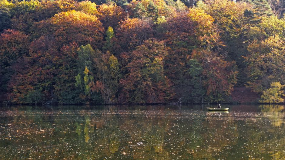 Rowboat on a calm lake in Aukštaitija National Park, Lithuania, surrounded by lush forest