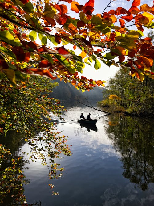 Men Paddling a Boat on a Lake