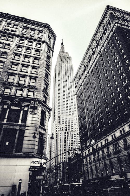 Free A Grayscale High Rise Buildings Stock Photo