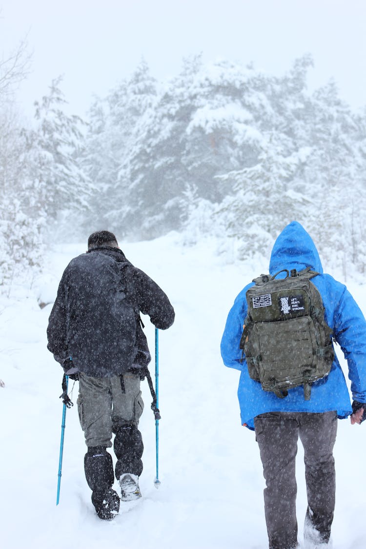 People Hiking In Forest In Winter