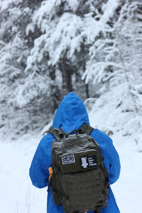 Hiking in Forest in Winter