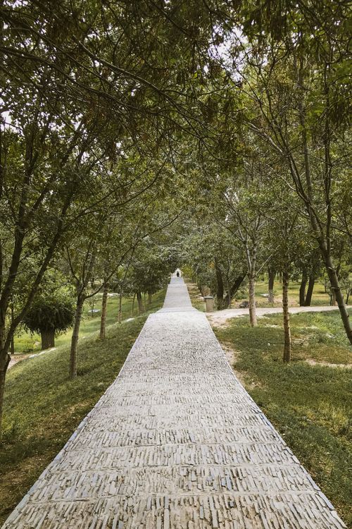 Free Explore a serene walkway surrounded by trees in a Kabul park. Perfect for nature walks. Stock Photo
