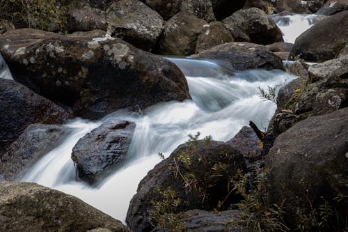 Rocks around Cascades on Stream