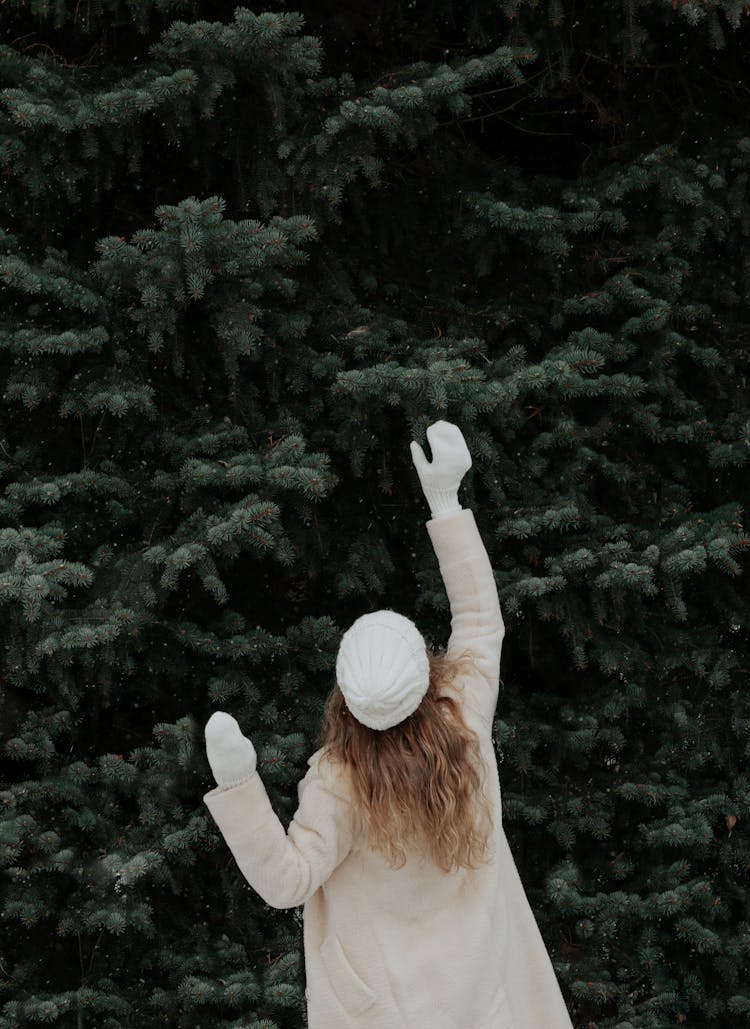 Woman And Coniferous Tree In Snow