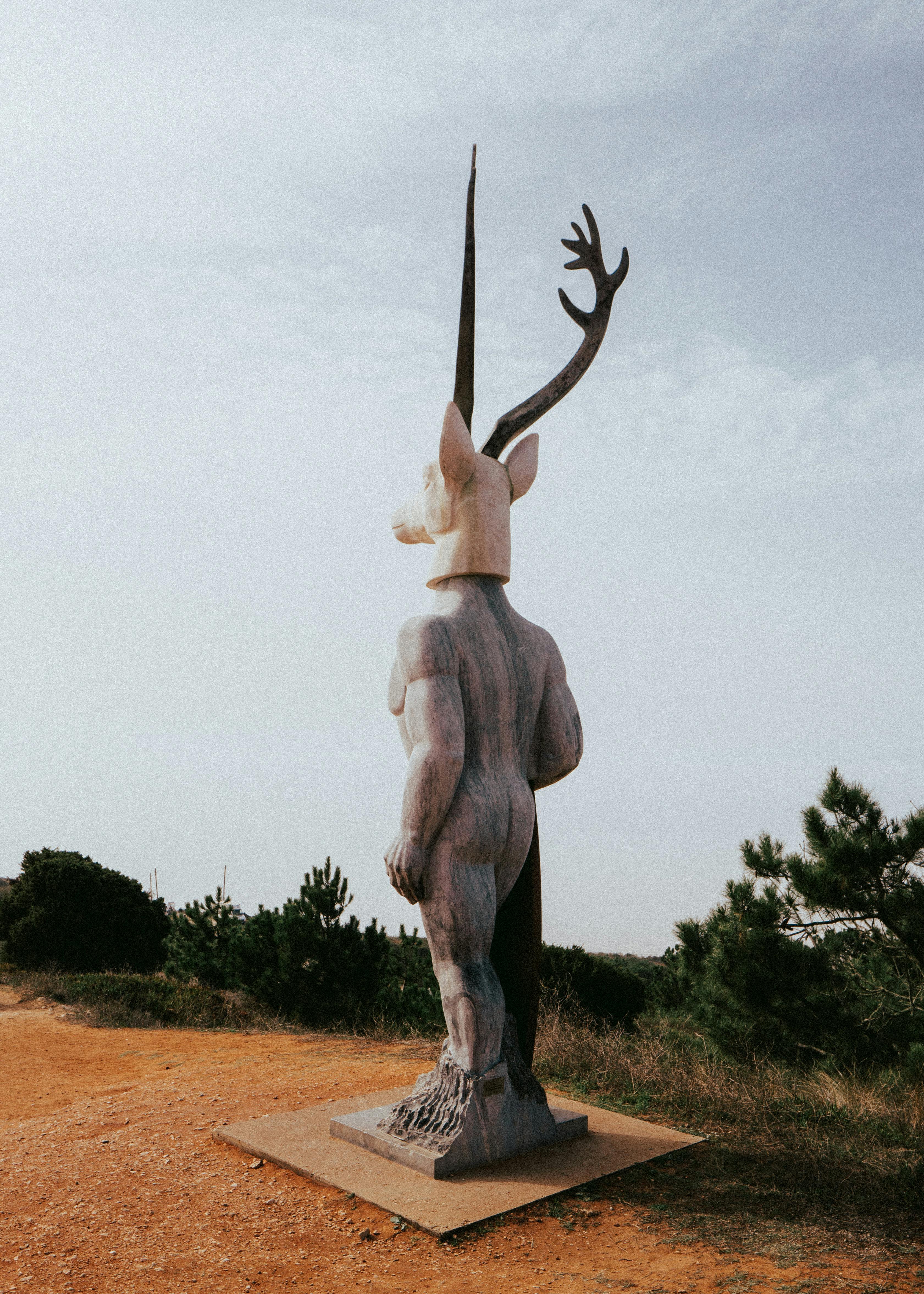 grátis Foto profissional grátis de ambiente natural, andando, andar Foto profissional