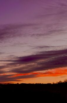 A vibrant sunset sky with orange and purple hues over Novara, Italy. Tranquil silhouette of trees.