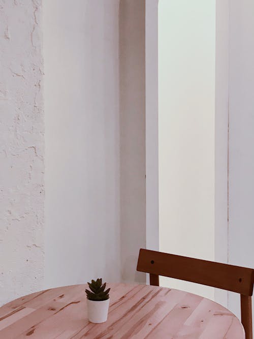 Photograph of an Indoor Plant on top of a Wooden Table