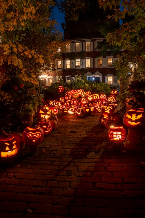 Lighted Jack O Lanterns on Street during Night Time