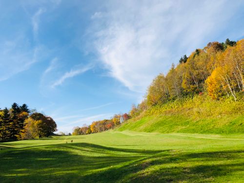Free Scenic view of a grassy field and autumn forest under a clear blue sky in Tobetsu, Hokkaido. Stock Photo