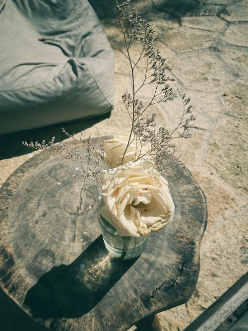 Free stock photo of flower arrangement, rose, tulum